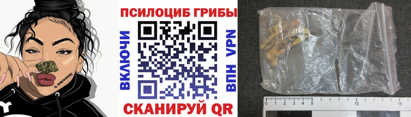 Псилоцибиновые грибы MAGIC MUSHROOMS  кракен ссылки  Камень-на-Оби 